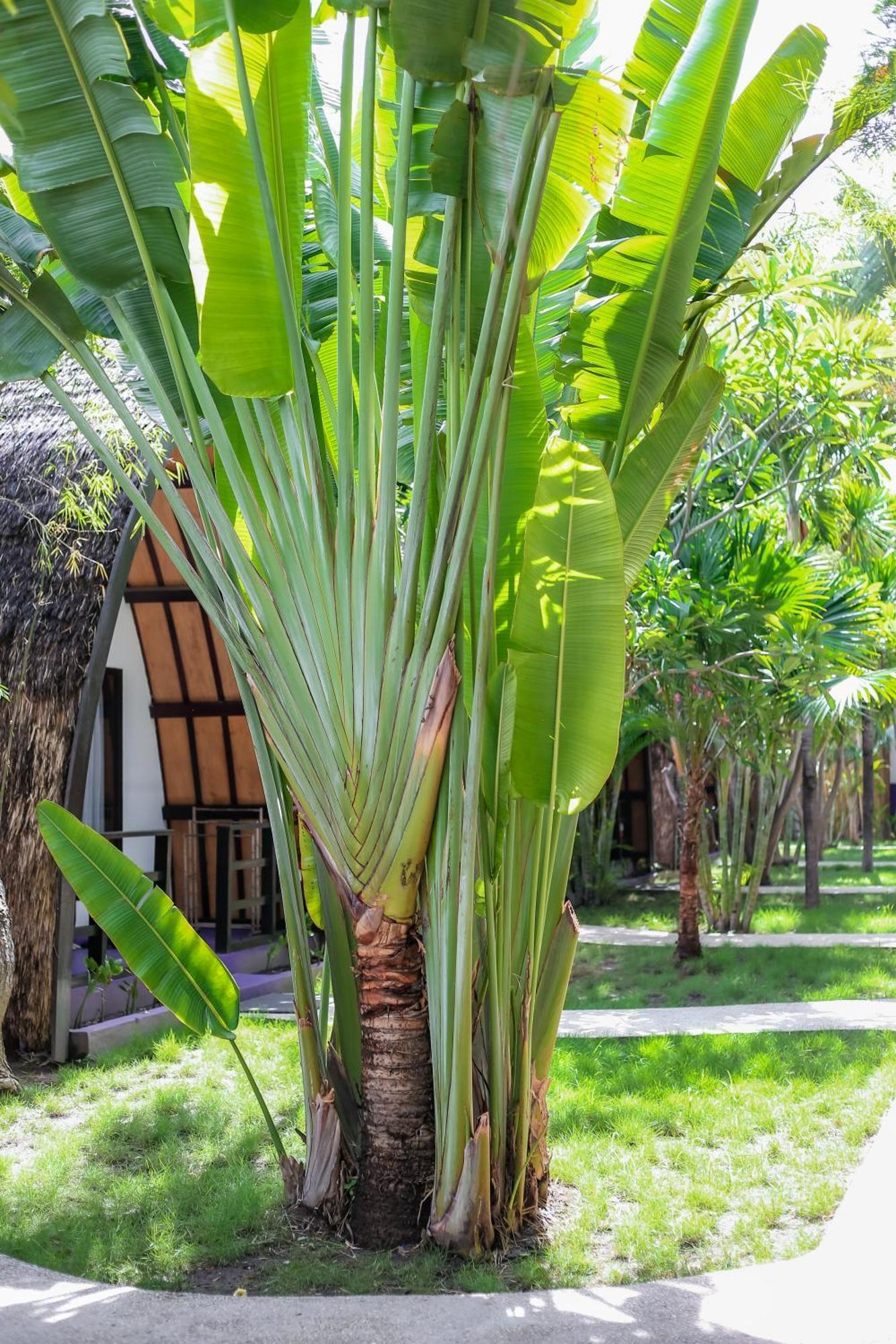 Diversia Diving Club & Bungalows Gili Trawangan Exterior foto